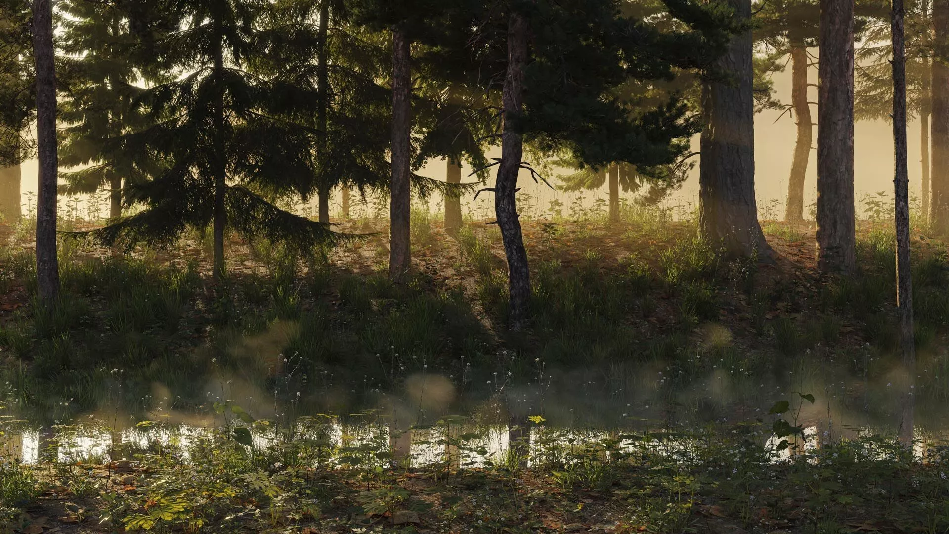 VDB River Steam - 523 Frames Fast and Fade In 3D model