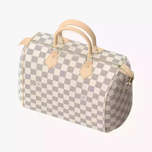 Louis Vuitton Speedy Bag Checker 3D model