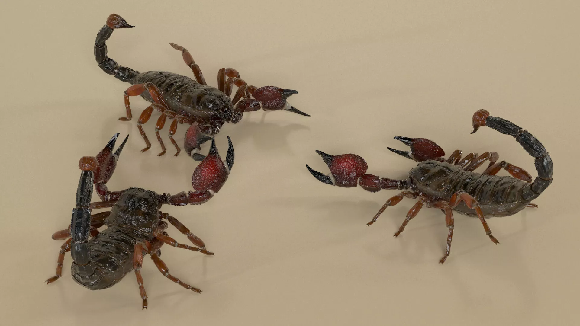 Walking Scorpion Fur Animated Rigged 3D model
