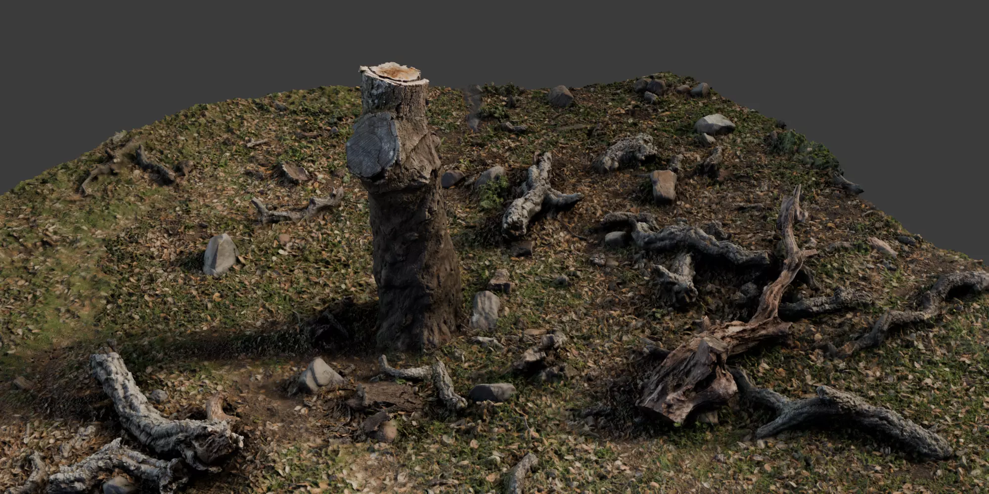 Roots2 3D model