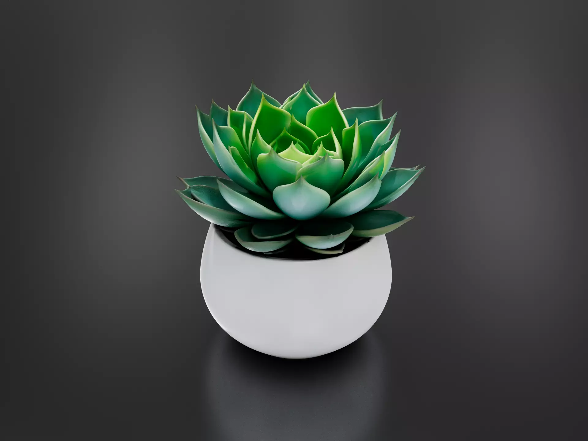 Large Succulent 3D print model