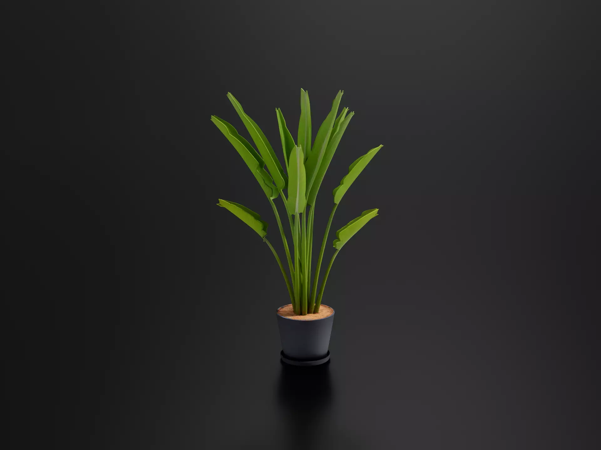Leaf Baba 3D print model