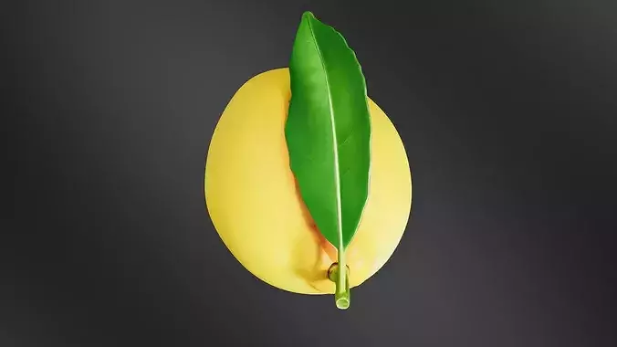 Lemon 01 3D print model 6