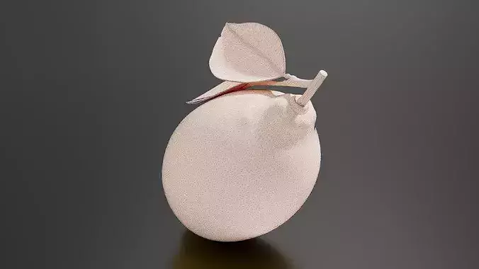 Lemon 02 3D print model 7
