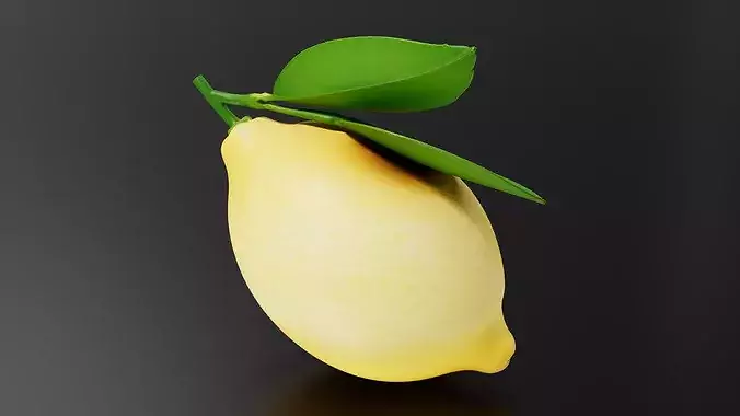 Lemon 02 3D print model 4