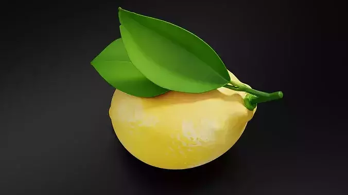 Lemon 02 3D print model 6