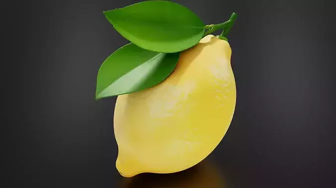 Lemon 02 3D print model 5
