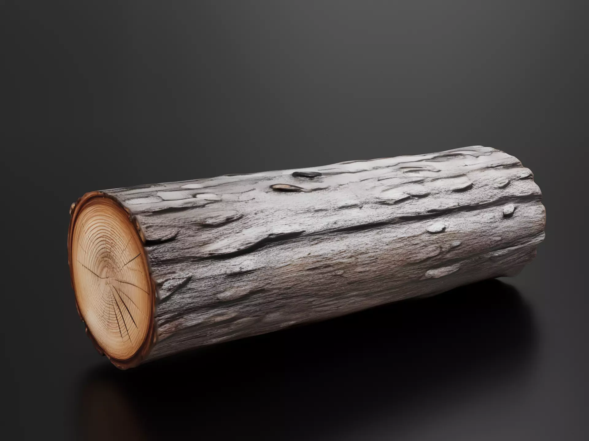 Log 01 3D print model