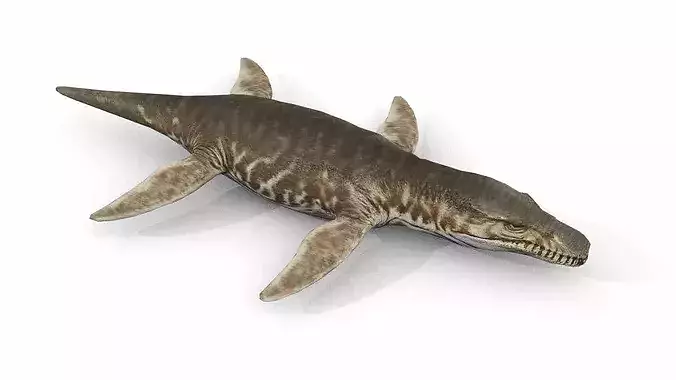 Liopleurodon