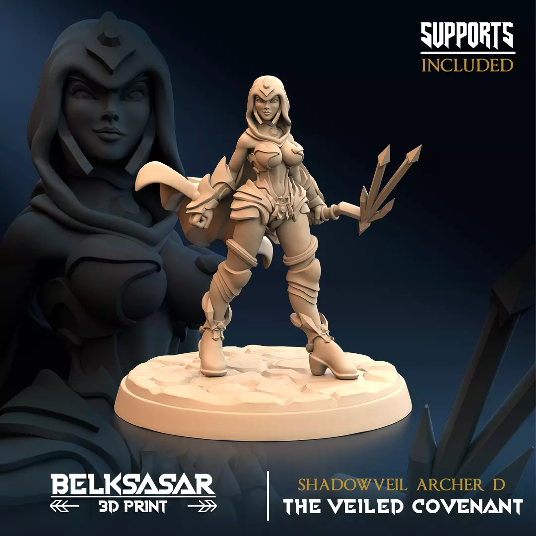 Drow Shadowveil Archer D 3D print model