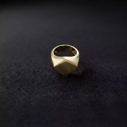 Jewelry Signet Ring v5 L Size