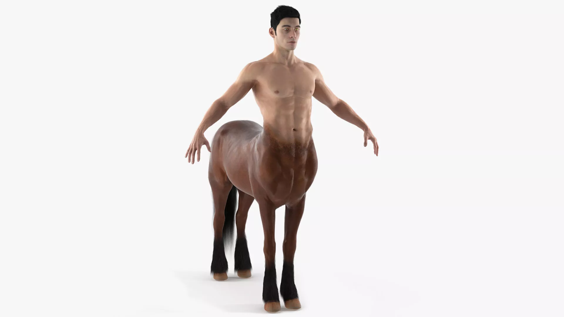 Centaur Mythical Creature A-Pose Fur 3D model