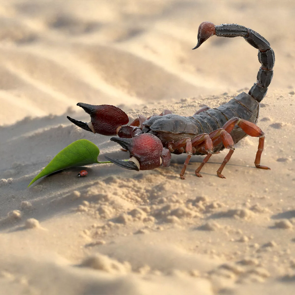 Hunting Scorpion Animated Rigged 3D model