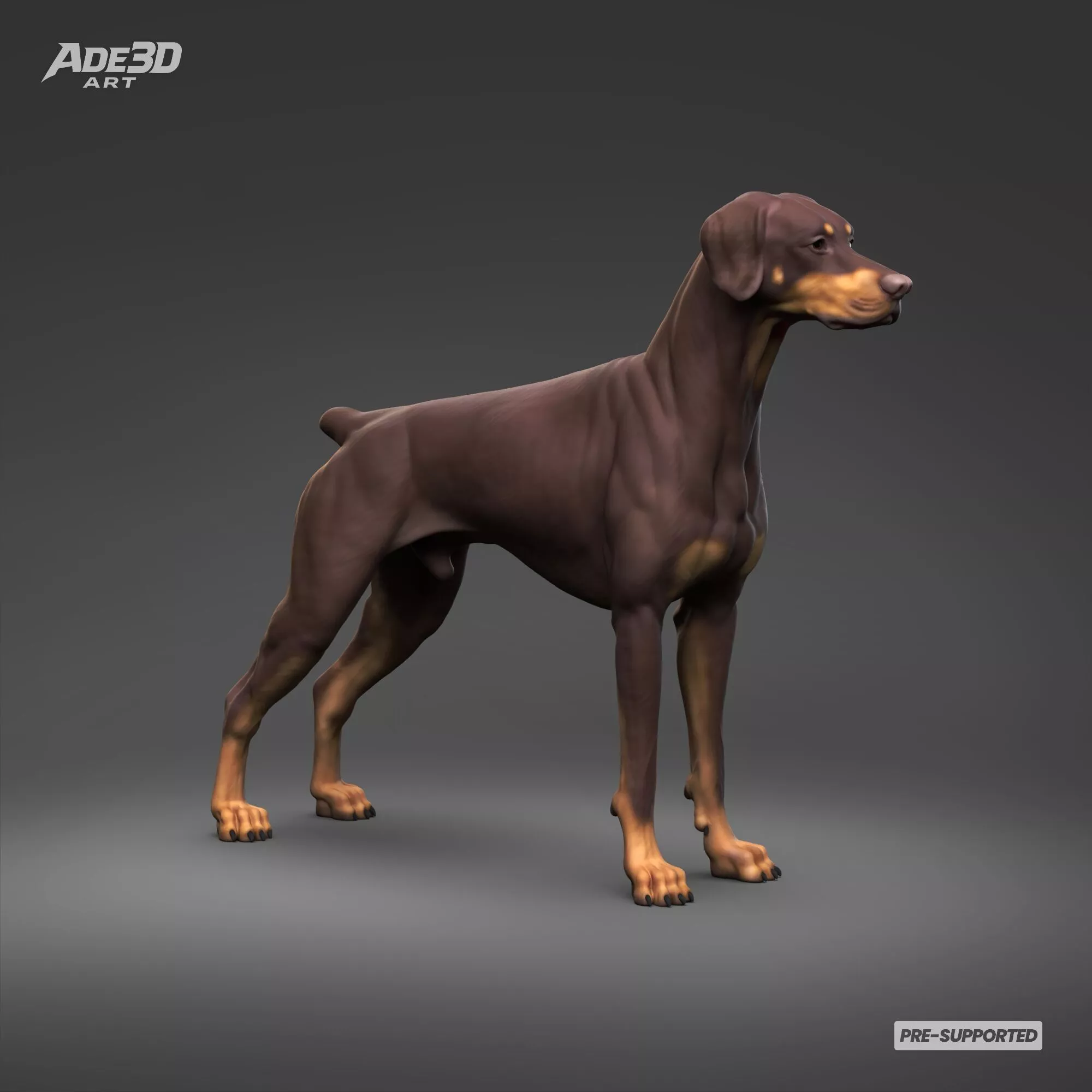 Doberman Pinscher Natural Ears Docked Tail 3D Print Pose 01 3D print model