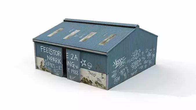 Abandoned Feed Store 2A