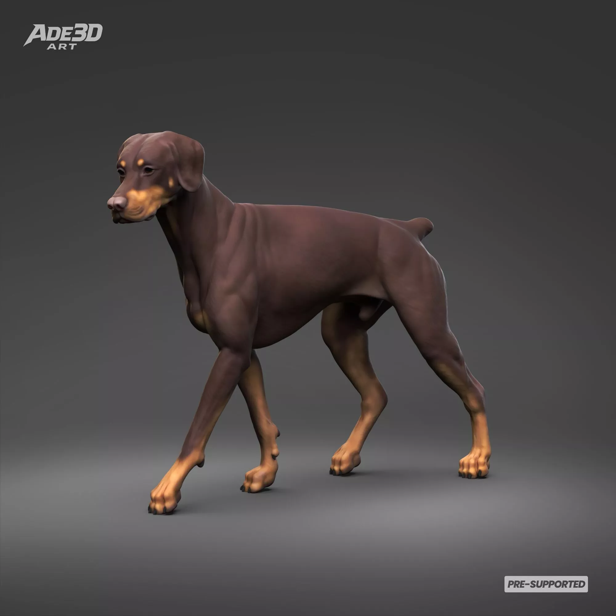 Doberman Pinscher Natural Ears Docked Tail 3D Print Pose 03 3D print model