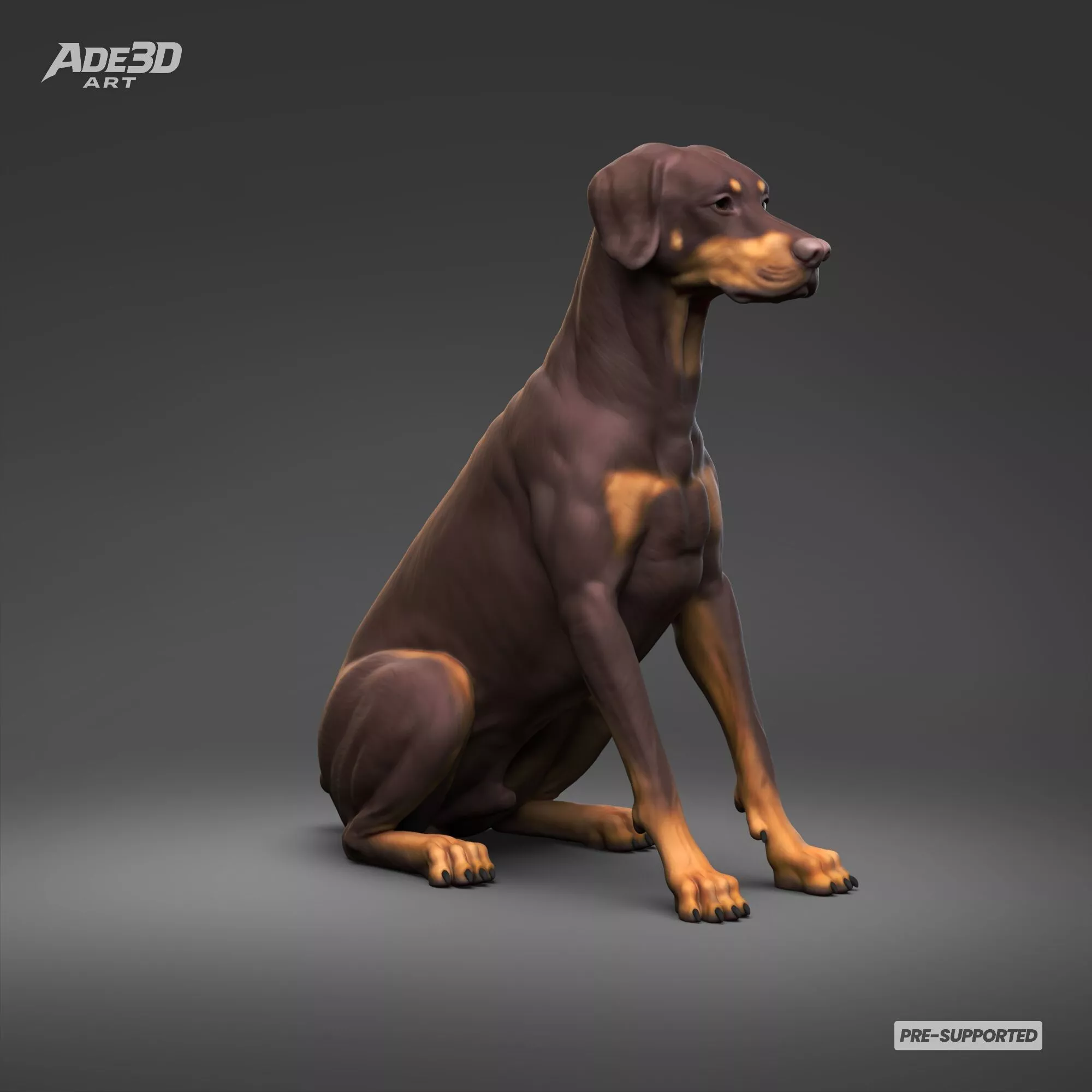 Doberman Pinscher Natural Ears Docked Tail 3D Print Pose 04 3D print model