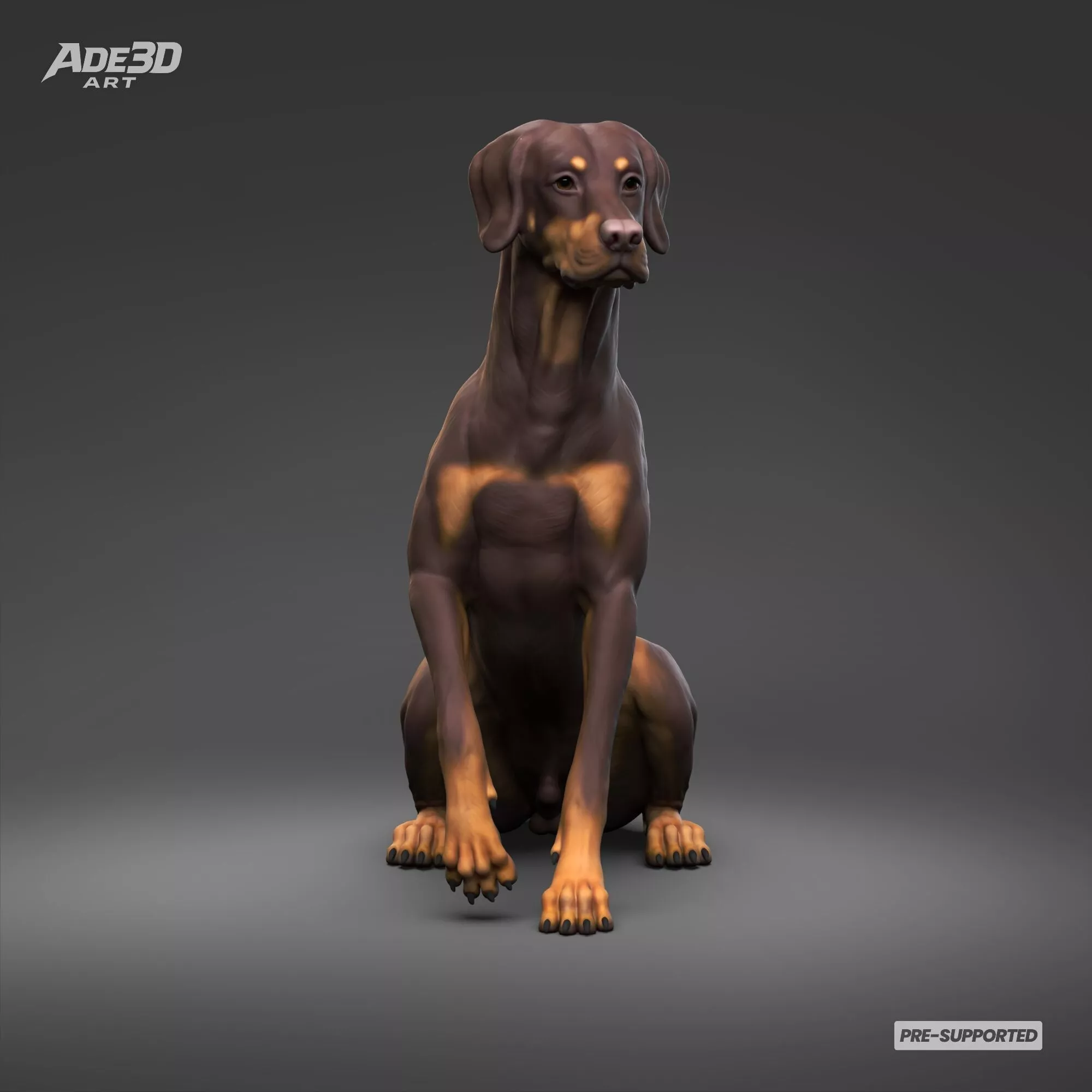 Doberman Pinscher Natural Ears Docked Tail 3D Print Pose 06 3D print model