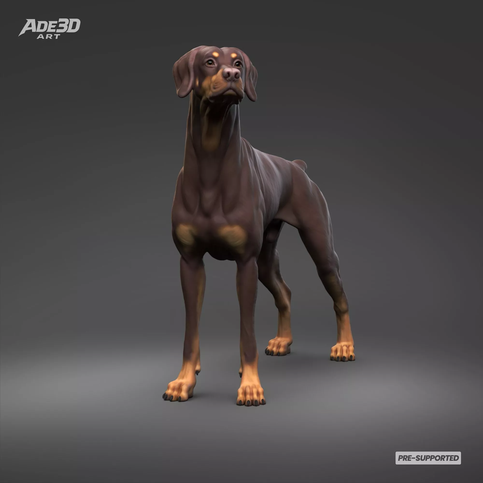 Doberman Pinscher Natural Ears Docked Tail 3D Print Pose 07 3D print model