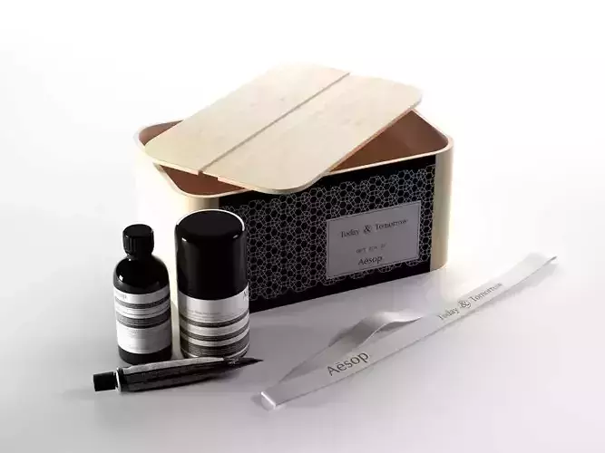 Today and Tomorrow Gift Box 3D model