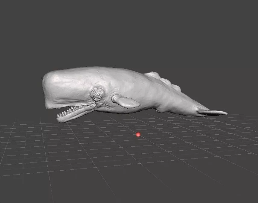 SPERM WHALE REALISTIC CACHALOT FIGURE ANIMAL CREATURE WILDLIFE 3D print model