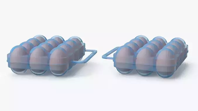Eggs Carrier Filled 3D model 5