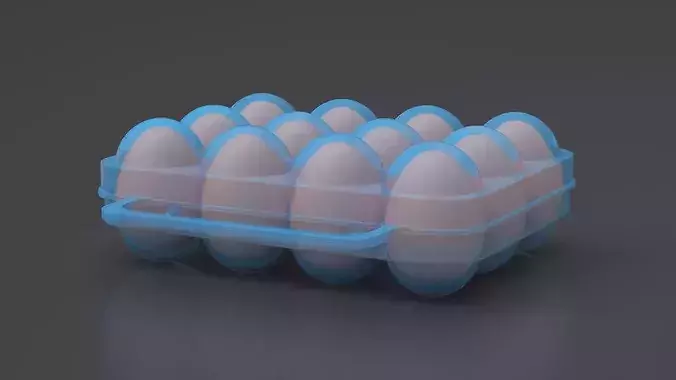 Eggs Carrier Filled 3D model 4