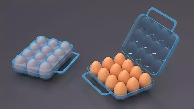 Eggs Carrier Filled 3D model