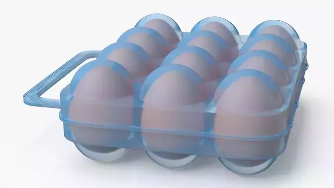 Eggs Carrier Filled 3D model 7