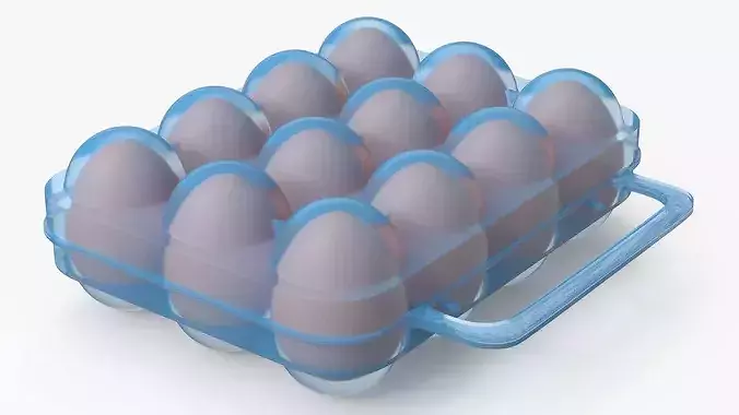 Eggs Carrier Filled 3D model 2