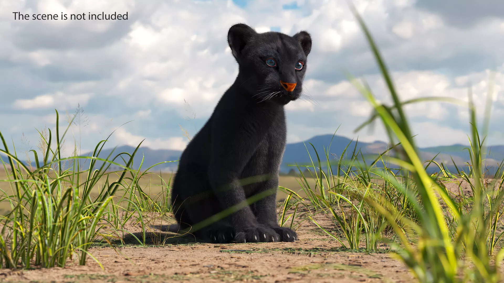 Black Panther Cub Sitting Pose with Fur for Cinema 4D 3D model