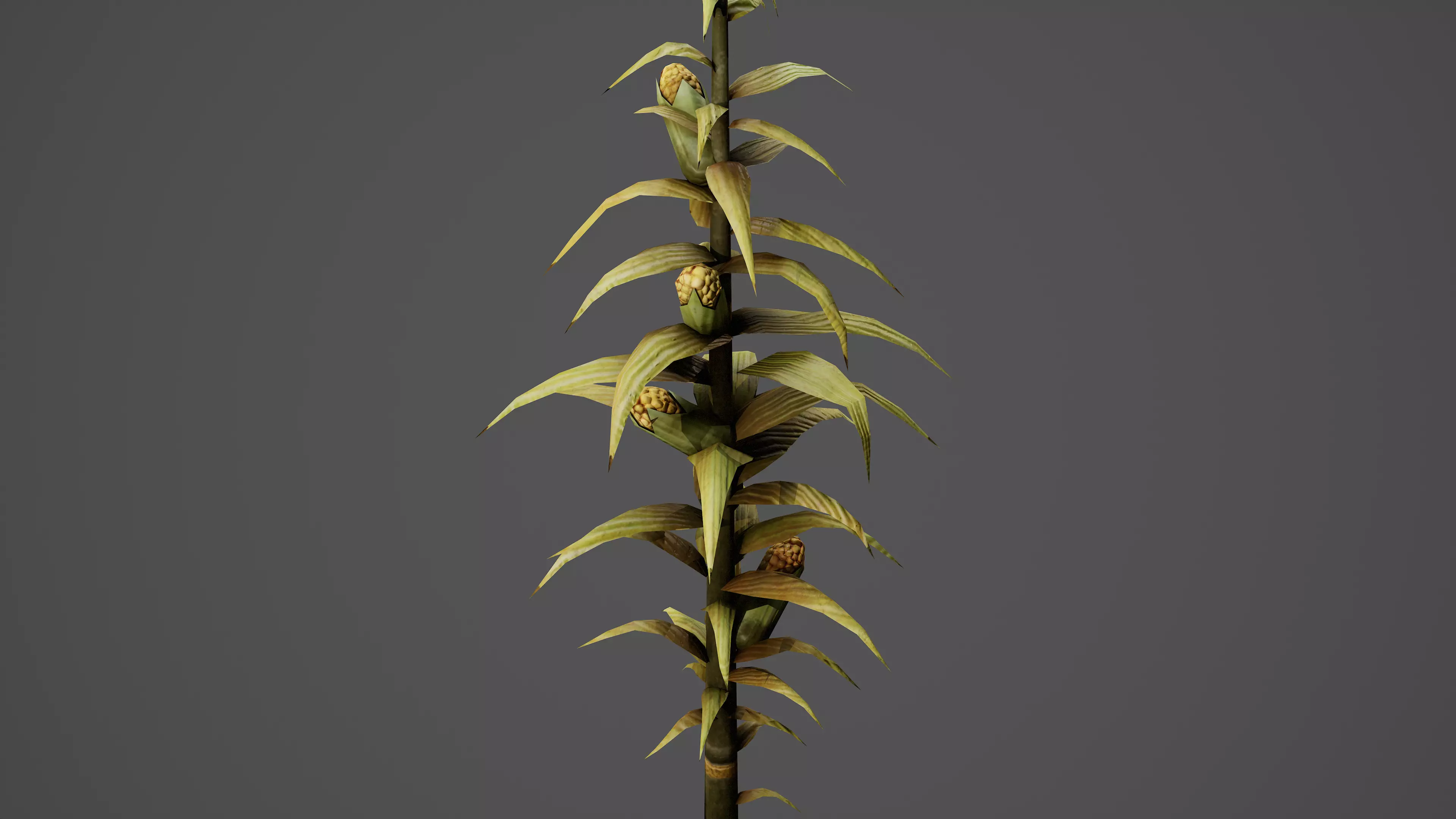 Corn Low Poly Game Ready Model Low-poly 3D model