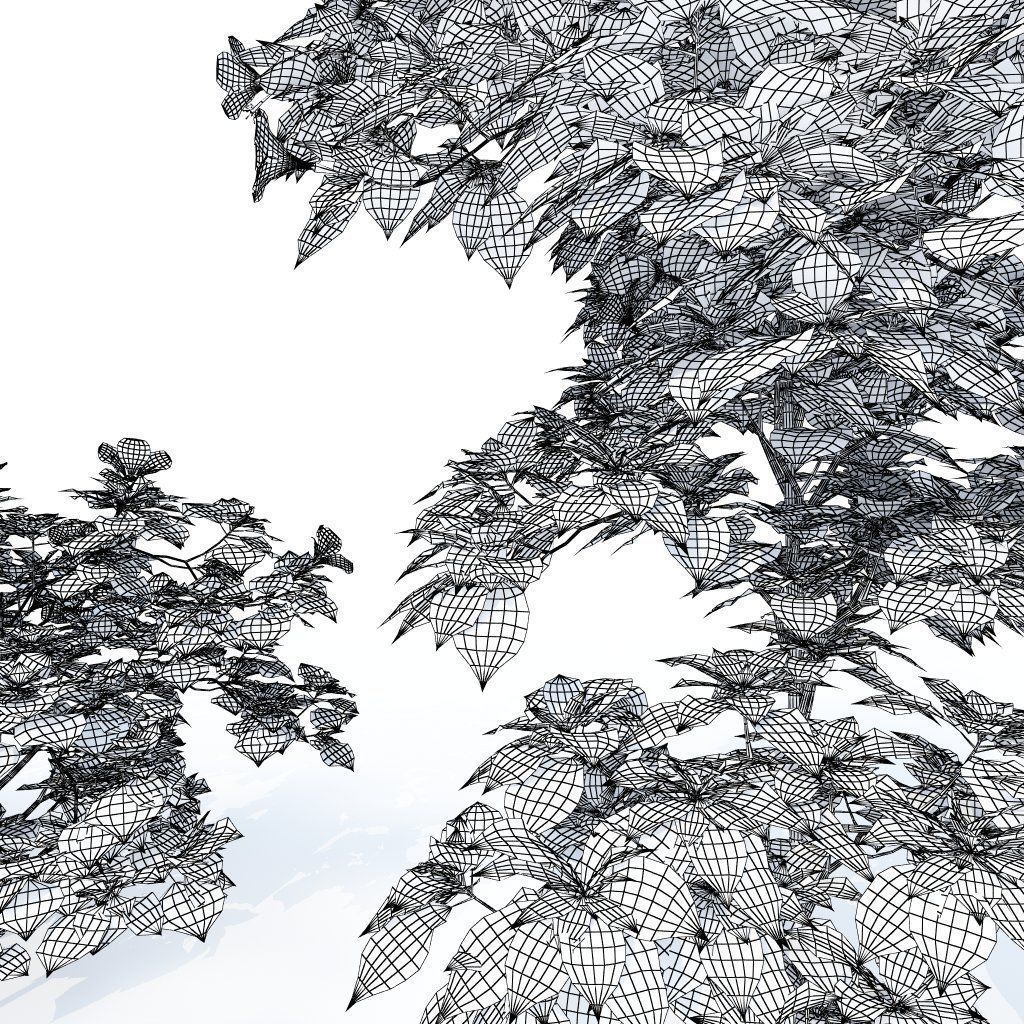 Hibiscus Plants - 3 Variations 3D model_3