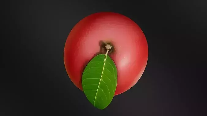 mangoo 01 3D print model 6