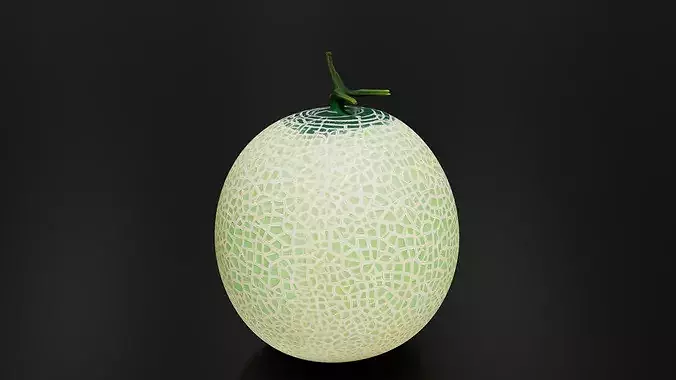 Melon 01 3D print model 3
