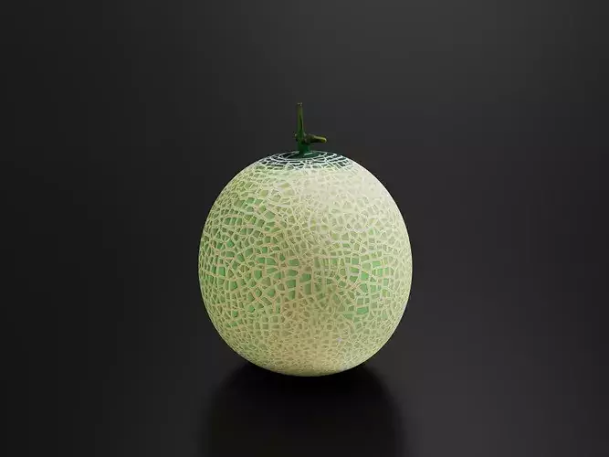 Melon 01 3D print model