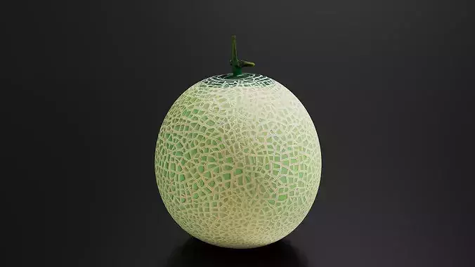 Melon 01 3D print model 2