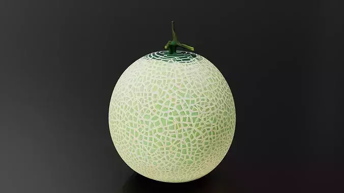 Melon 01 3D print model 4