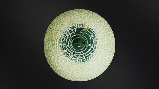 Melon 01 3D print model 6