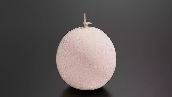 Melon 01 3D print model 7