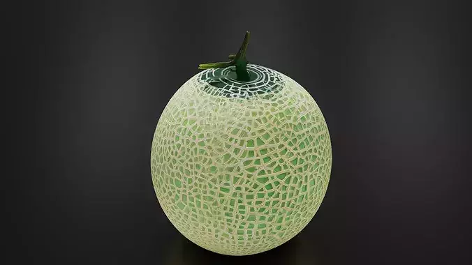 Melon 01 3D print model 5