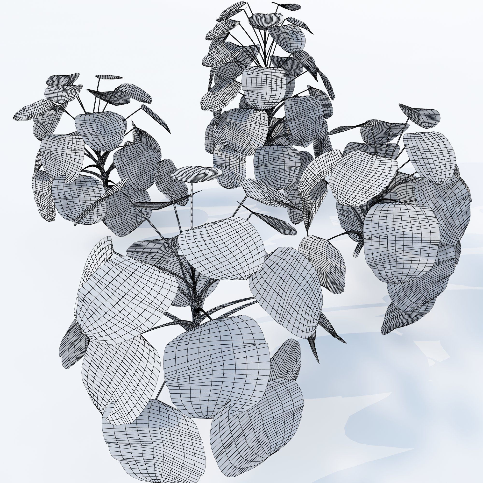 Monstera deliciosa- 4 variations 3D model_4