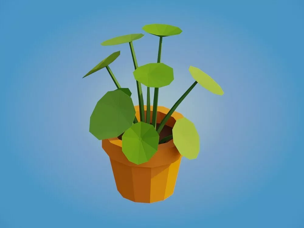 Pilea Low-poly 3D model
