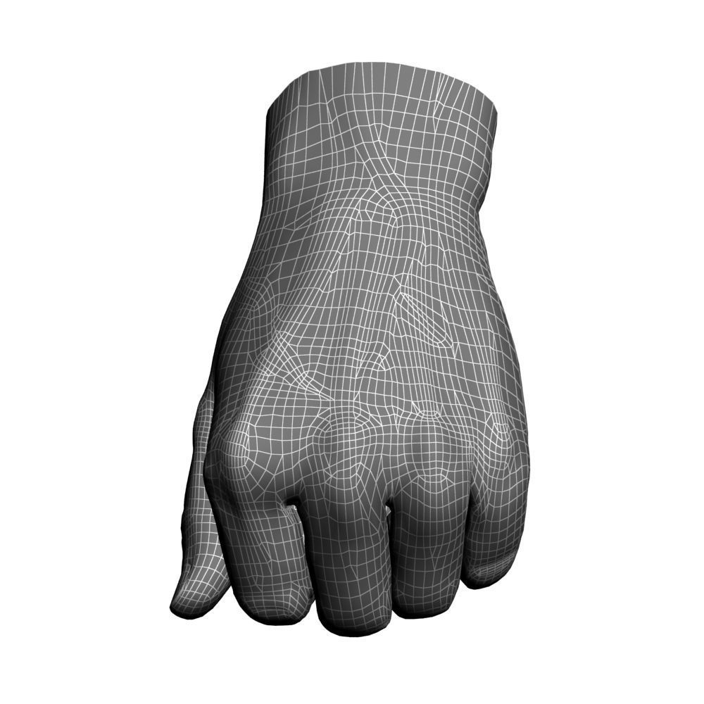 Hand Model 09 3D model_6