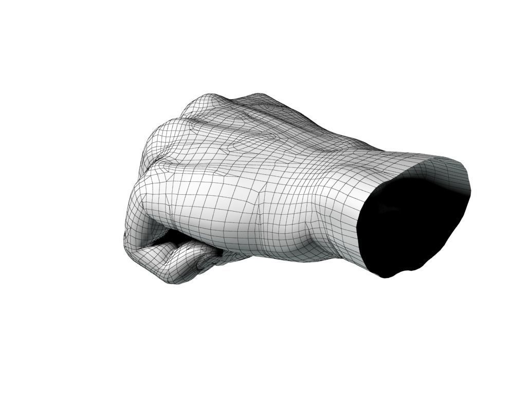 Hand Model 09 3D model_23
