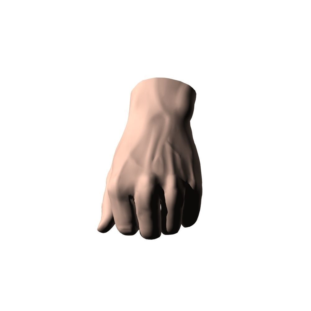 Hand Model 09 3D model_4