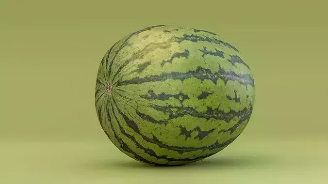 Watermelon Photogrammetry 3D Scan PBR Low-poly 3D model 6