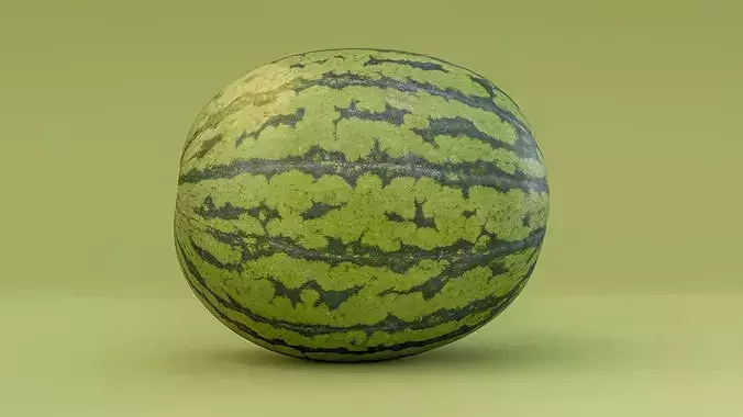Watermelon Photogrammetry 3D Scan PBR Low-poly 3D model 5