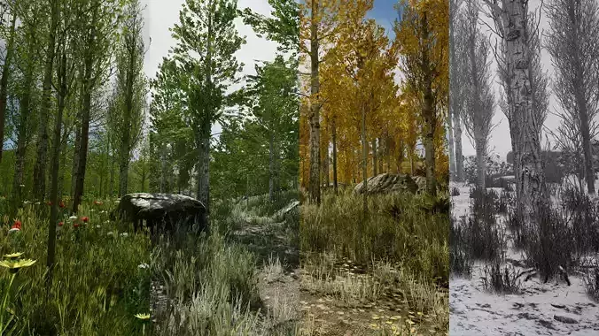 Scanned Poplar-Aspen Forest with Seasons for Unreal Engine 4 - 5 Low-poly 3D model