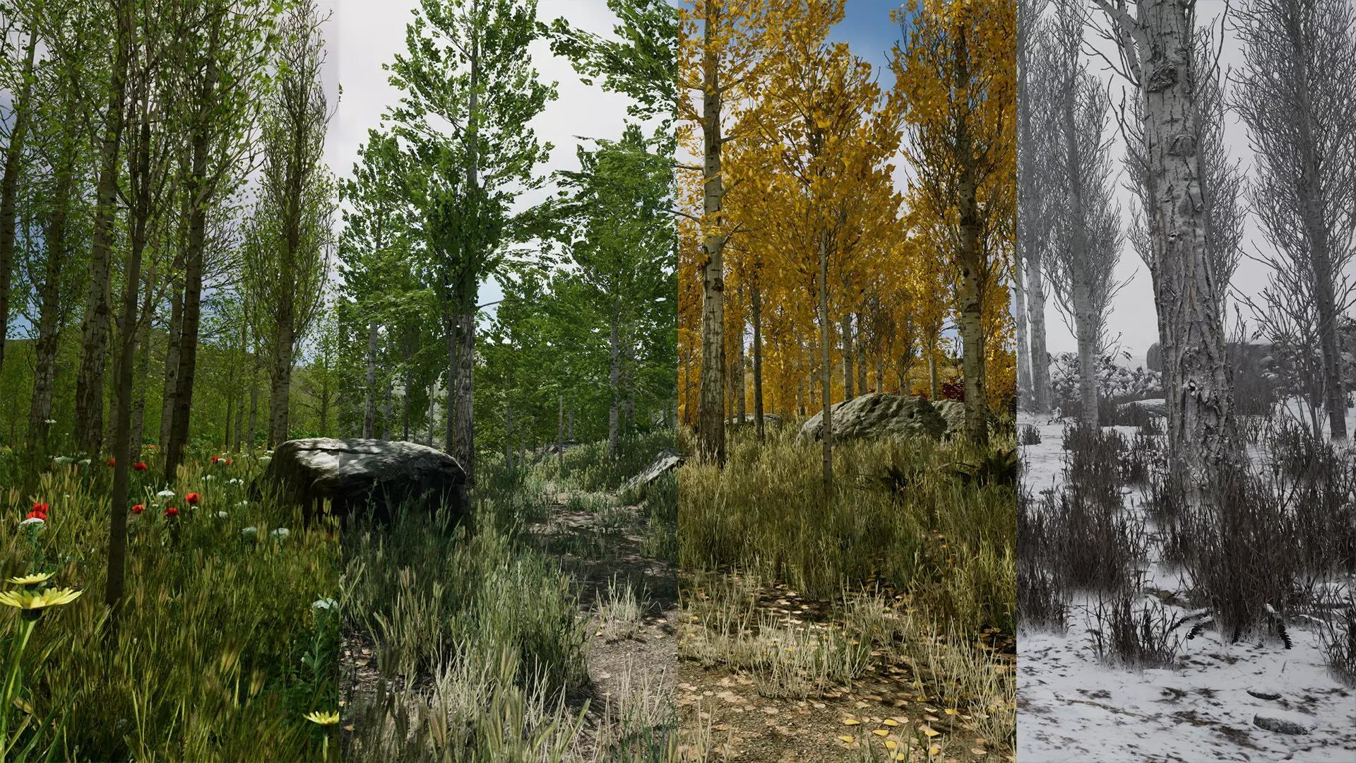 Scanned Poplar-Aspen Forest with Seasons for Unreal Engine 4 - 5 Low-poly 3D model_0
